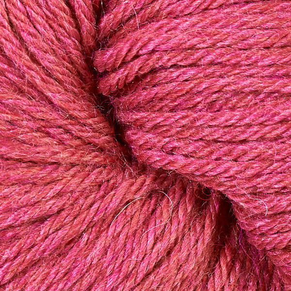 51194 RHUBARB