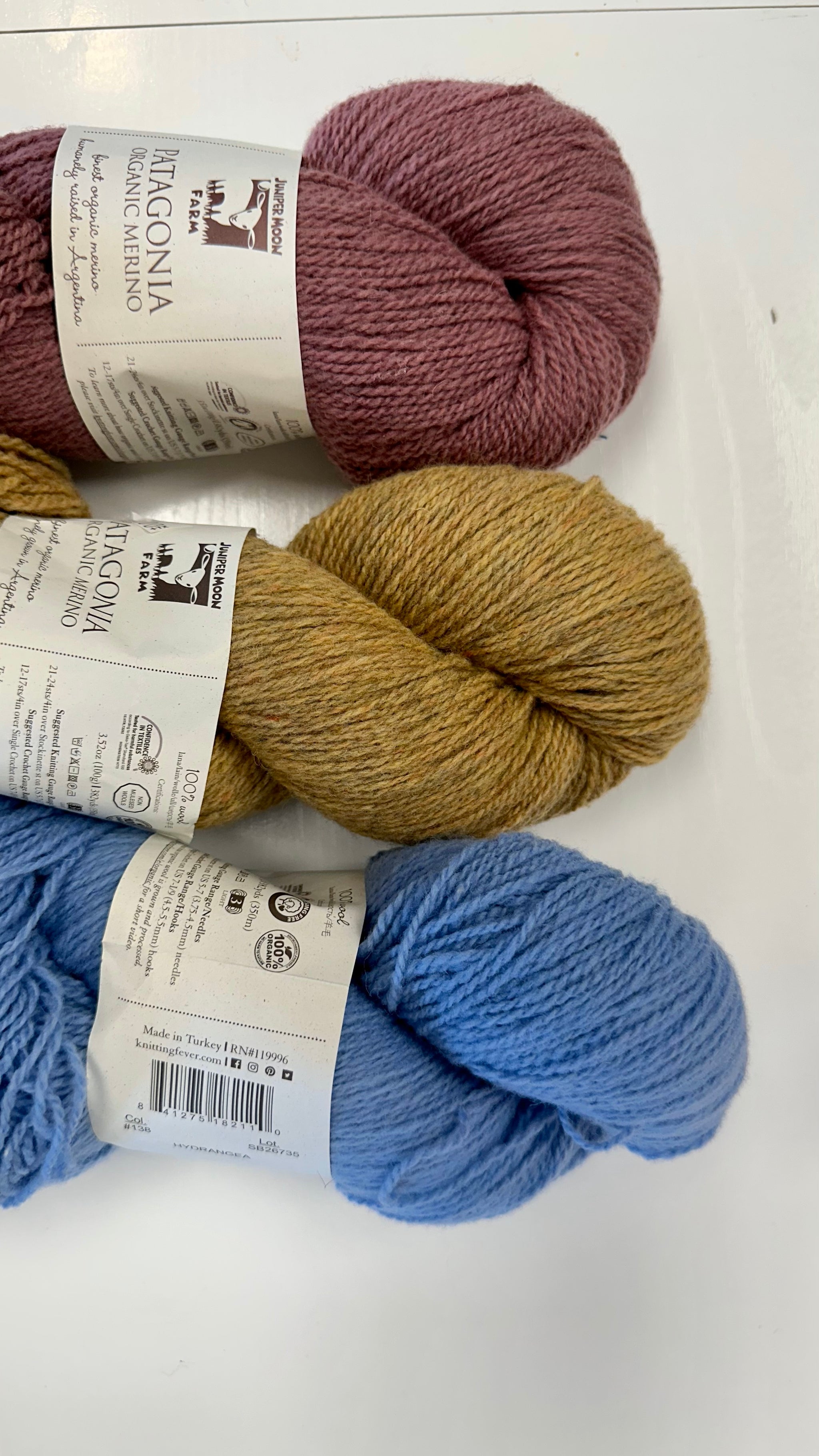 Color 1 Burgundy Mustard Hydrangea