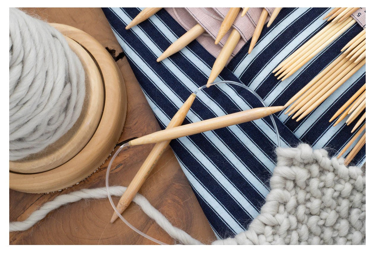 dellaQ DPN & CIRCULAR NEEDLE CASE