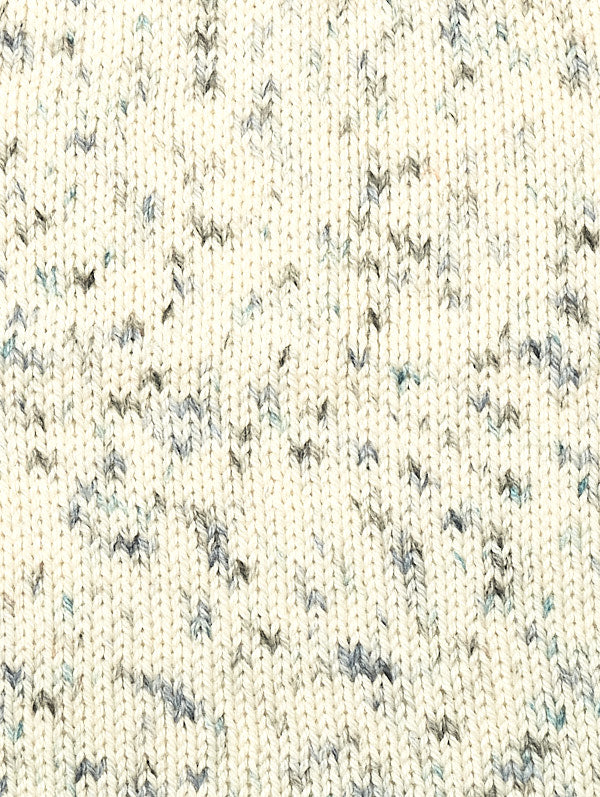 1193 mint chocolate chip