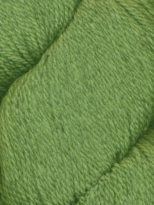 Wasabi