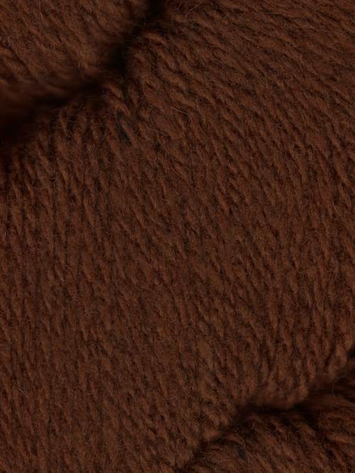 Sequoia