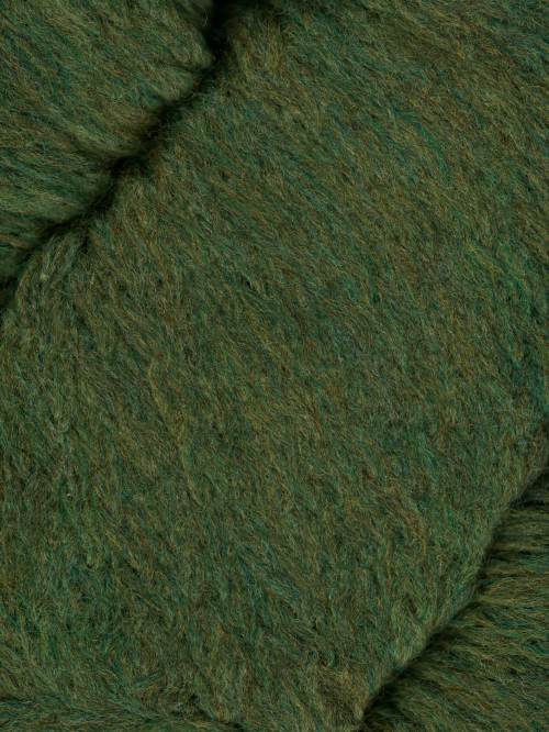 Bayleaf