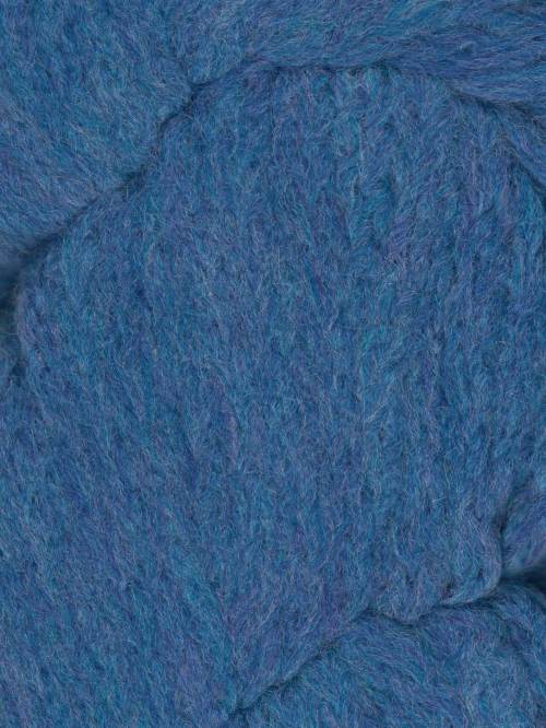 Cornflower