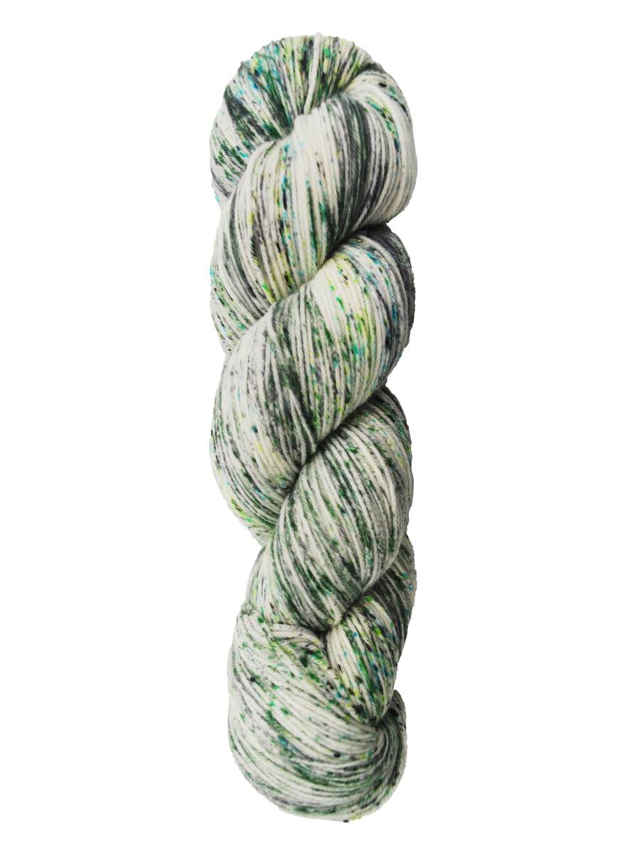 34 WHITE COLLARED JACOBIN