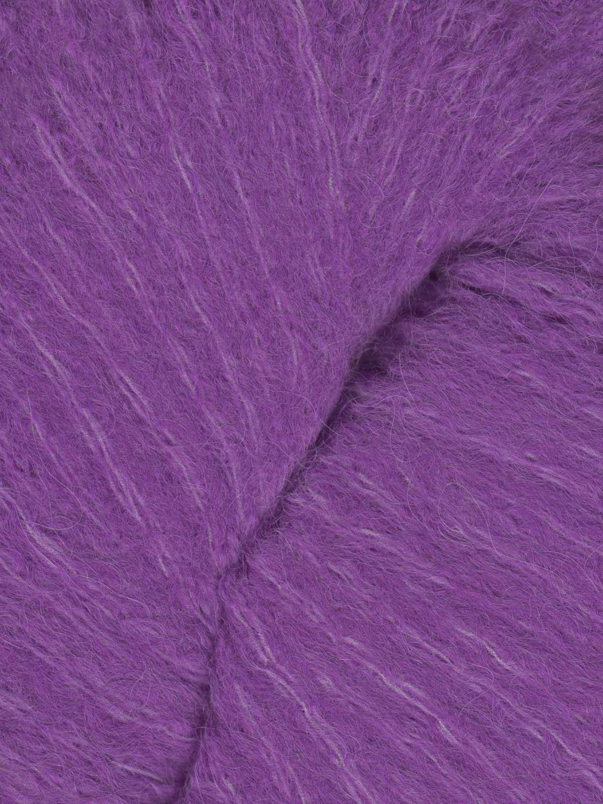 113 CLEMATIS