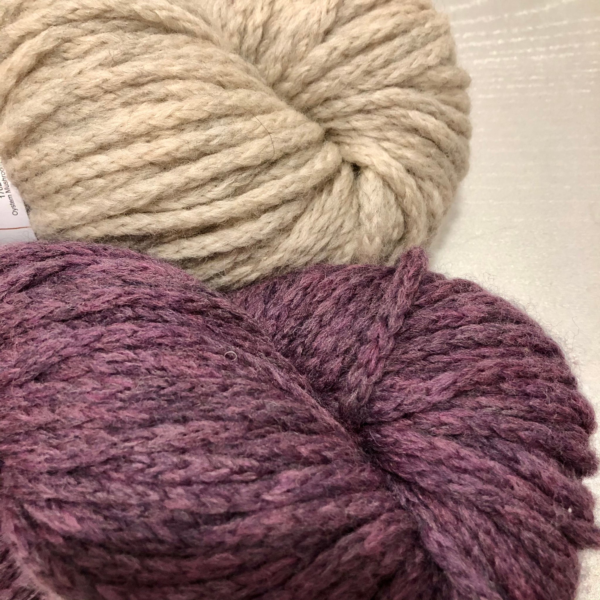 Field Berry/Oystem Mushroom